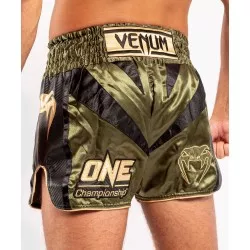 Venum Muay Thai X One FC Shorts (khaki/gold) 2