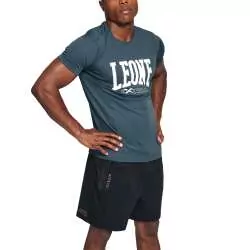 Camiseta de boxeo Leone ABX106 (gris) 2