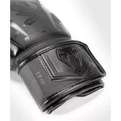 Muay thai handschuhe Venum elite evo (schwarz/schwarz)3