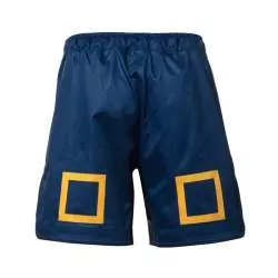 Tatami MMA Shorts katakana blau (1)