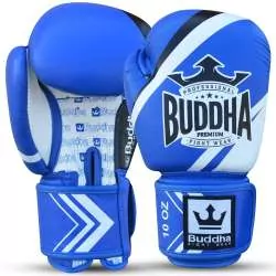 Buddha-Kampfhandschuhe Wettbewerb (blau) 1