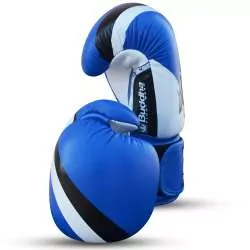Buddha-Kampfhandschuhe Wettbewerb (blau) 3