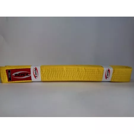 Cinturon  amarillo Nkl